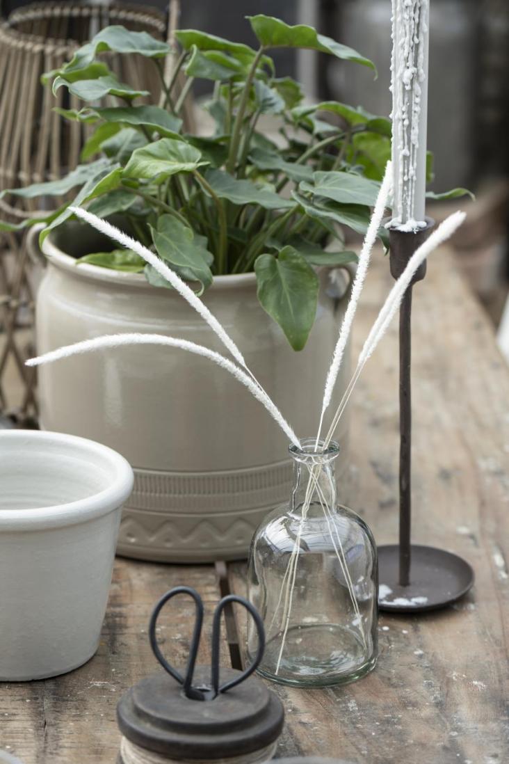 APOTHEKERGLAS GROSS BLUMEN - 2