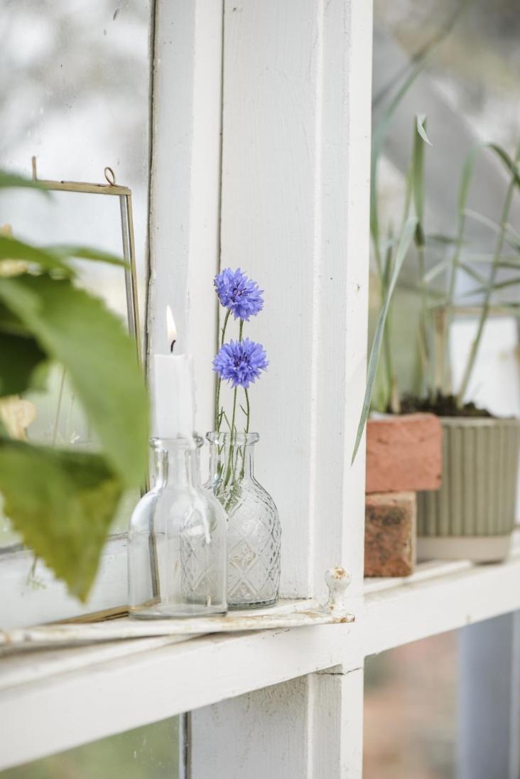 APOTHEKERGLAS FÜR BLUMEN - 0