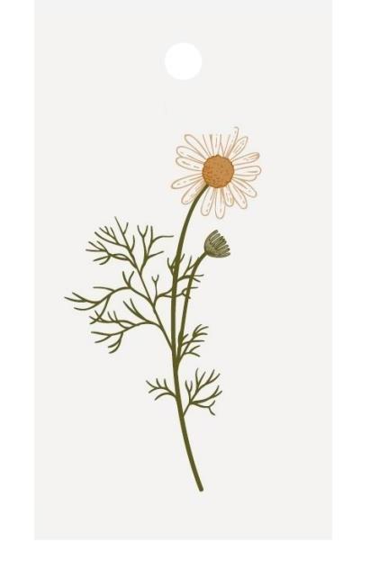 GESCHENKANHÄNGER BLUMENMOTIV
