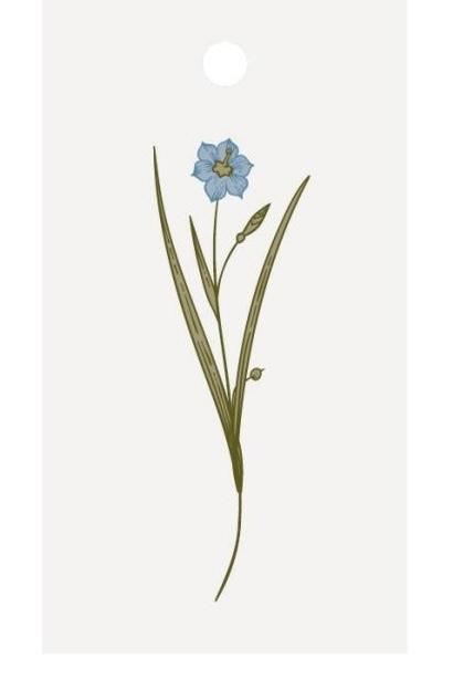 GESCHENKANHÄNGER BLUMENMOTIV