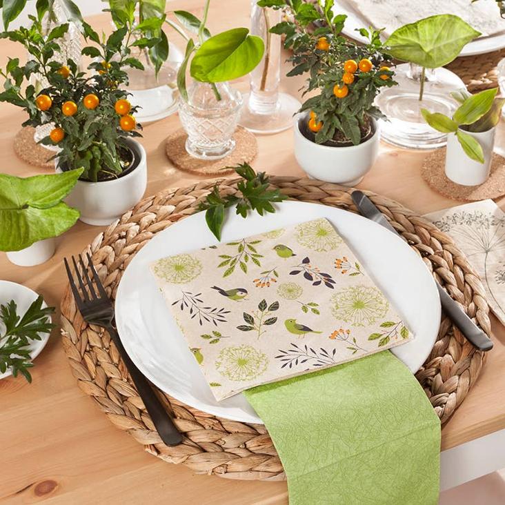 VORBESTELLEN: AB CA. MITTE JUNI LIEFERBAR: LUNCH SERVIETTE RECYCLING-TISSUE BIRDS AND TWIGS GREEN - 0
