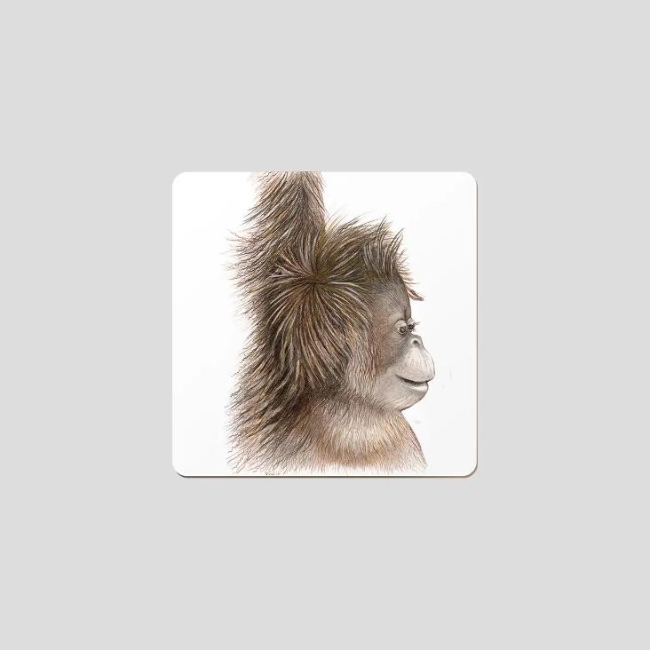 NEU: ALICE UNTERSETZER