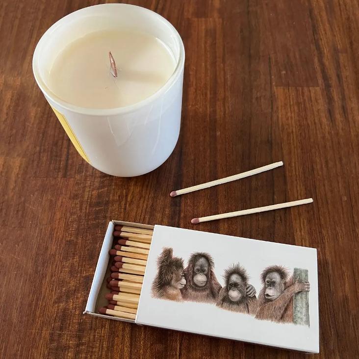 NEU: FREUNDINNEN MATCHBOX STREICHHOLZ - 0
