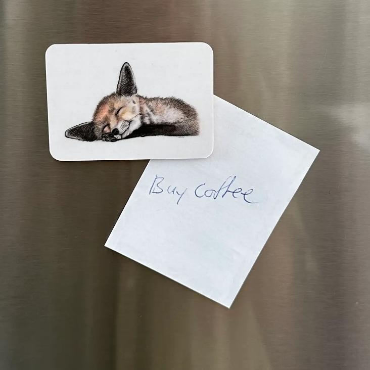 NEU: FELIX KÜHLSCHRANKMAGNET