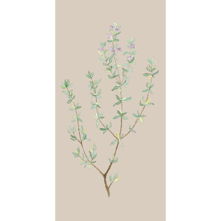 SERVIETTE GRÜNER THYMIAN