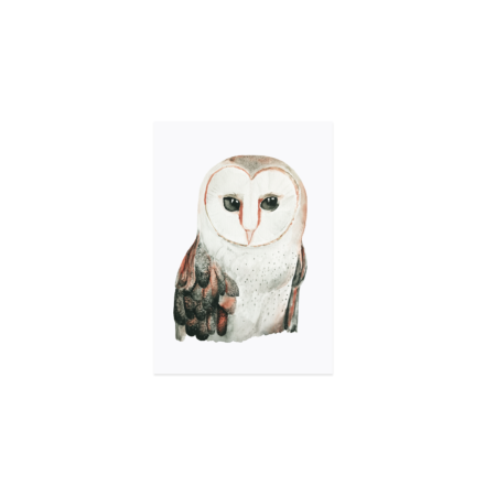 AQUARELL EULE