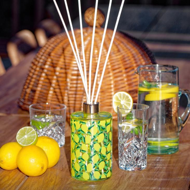 CITRONNADE BÂTON A PARFUM 500ml (NUR NOCH 1 STÜCK) SOLANGE VORRAT REICHT - 0