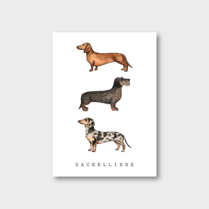 NEU: DACKELLIEBE - 0