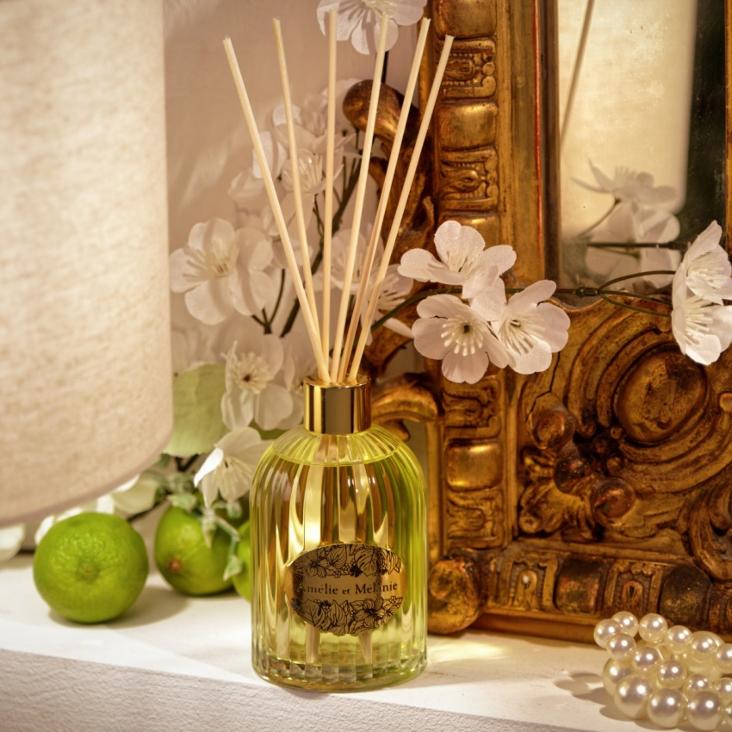 EVASION BÂTON A PARFUM 250ml - 0