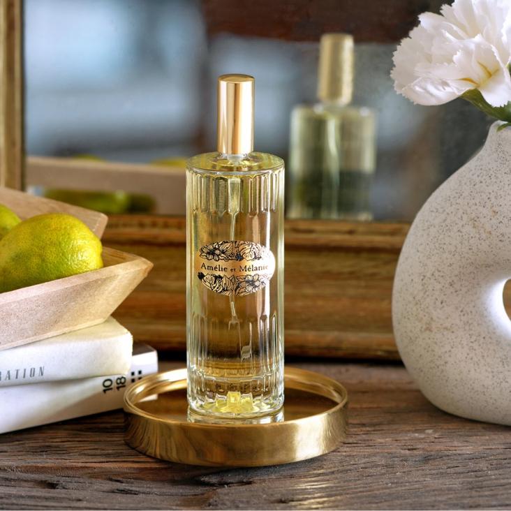 EVASION PARFUM D`AMBIANCE 100ml SOLANGE VORRAT REICHT - 0