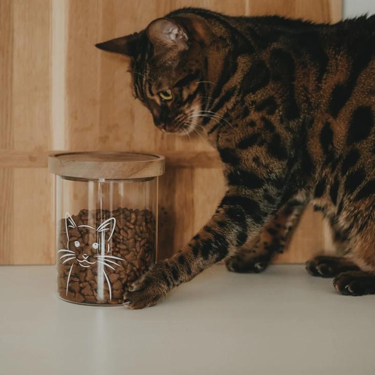 NEU: VORRATSGLAS KATZE 13CM ♡ - 1
