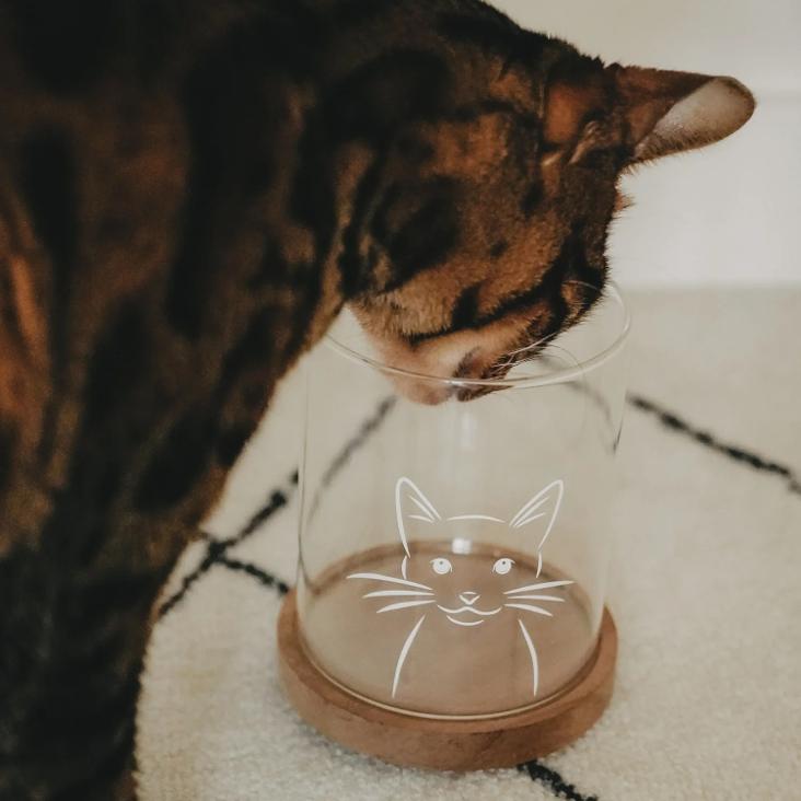 NEU: VORRATSGLAS KATZE 13CM ♡ - 3
