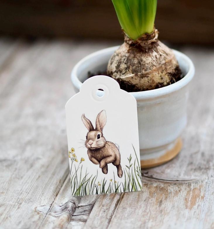 HOPPELHASE