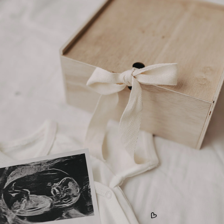 NEU: VORBESTELLEN: DEMNÄCHST LIEFERBAR: ERINNERUNGSBOX GÄNSE - 0