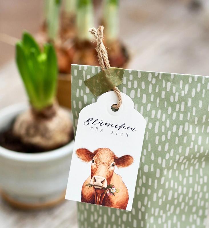 NEU: KUH / BLÜMCHEN FÜR DICH