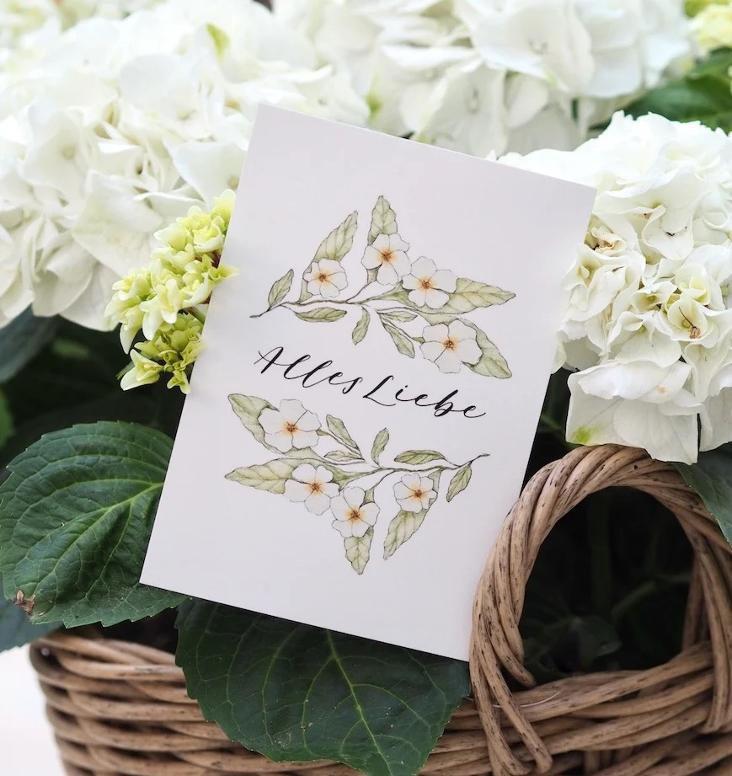 NEU: ALLES LIEBE