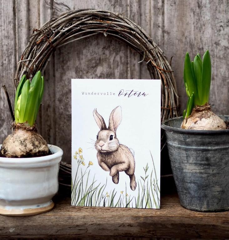 NEU: WUNDERVOLLER HOPPELHASE