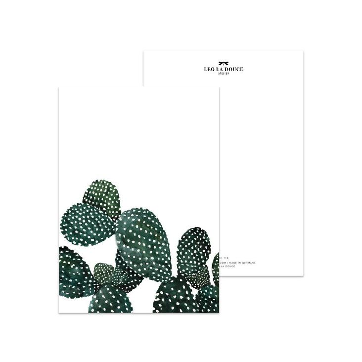 CACTUS FAMILY
