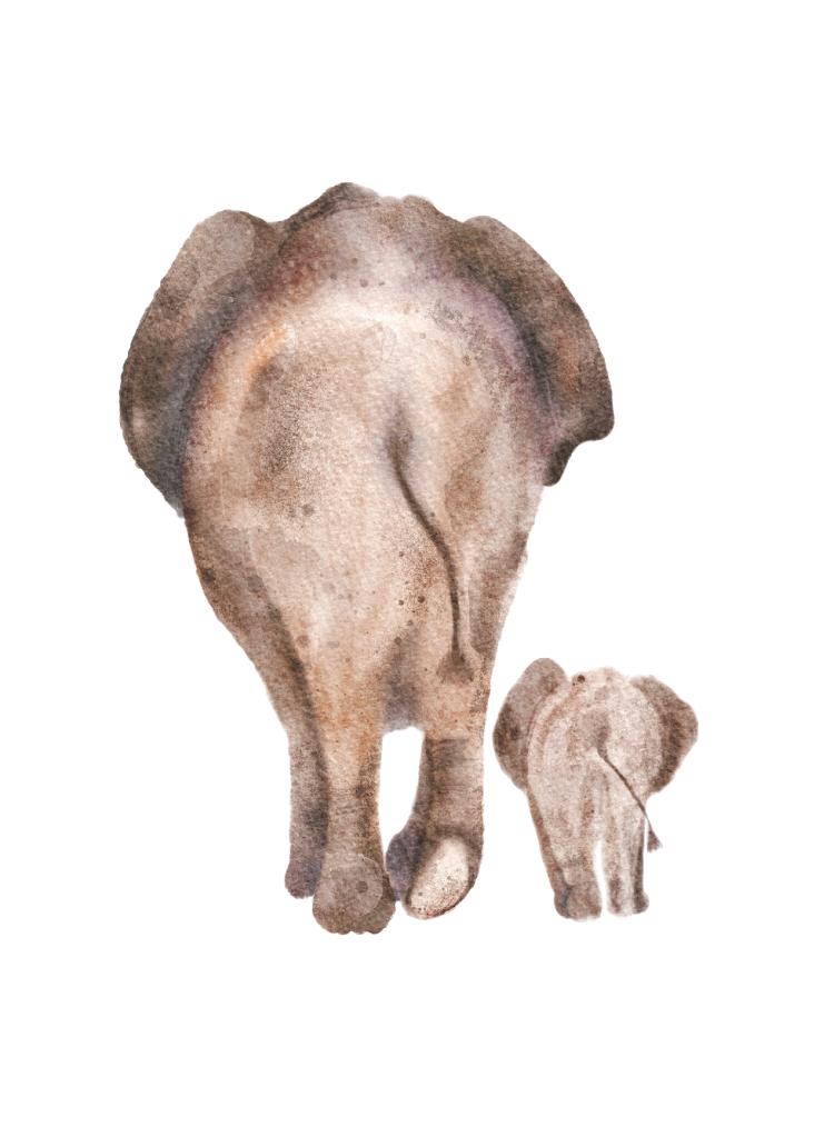 ELEFANTEN