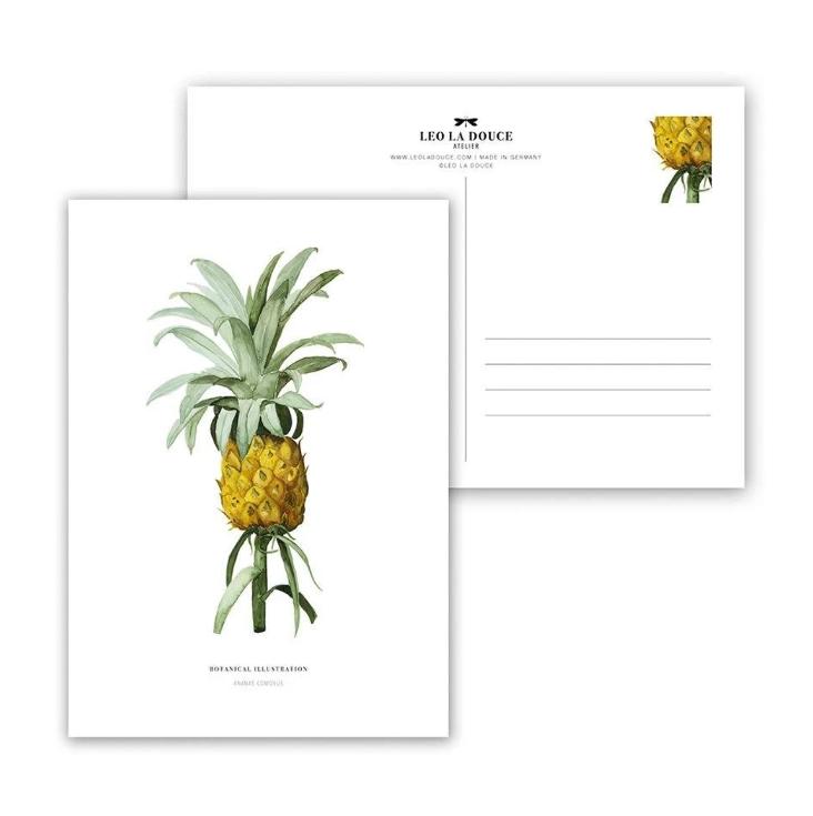 ANANAS COMOSUS