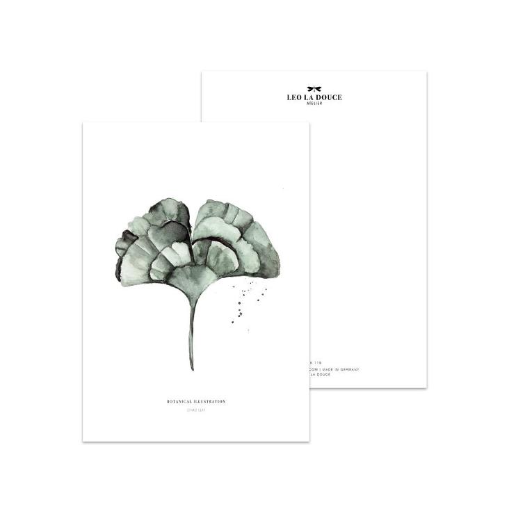 GINKGO LEAF