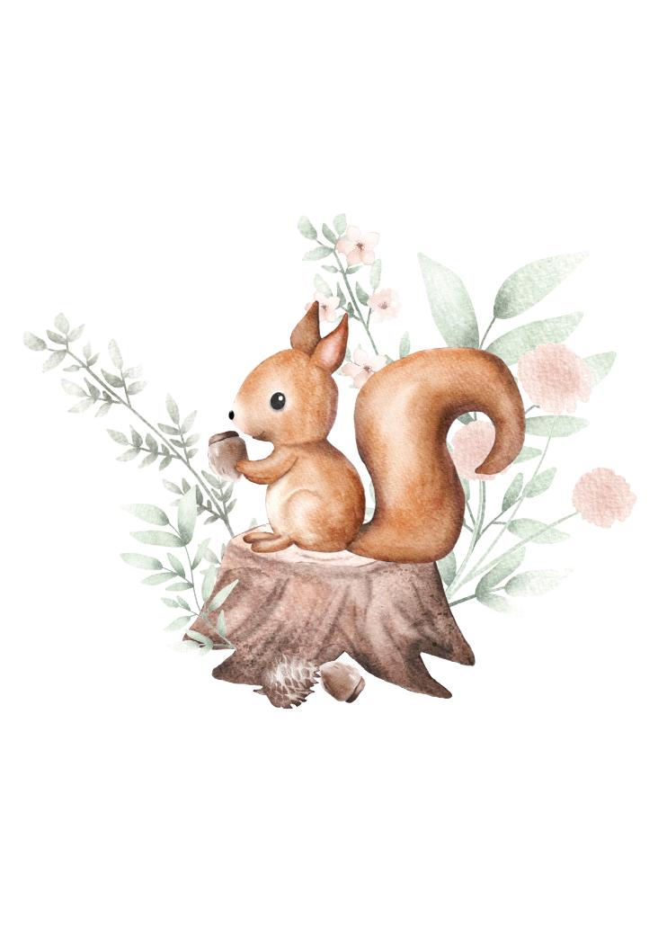 EICHHÖRNCHEN