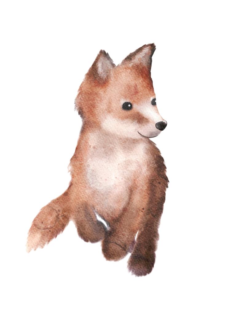 FUCHS BABY