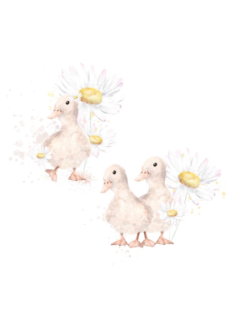 GÄNSE