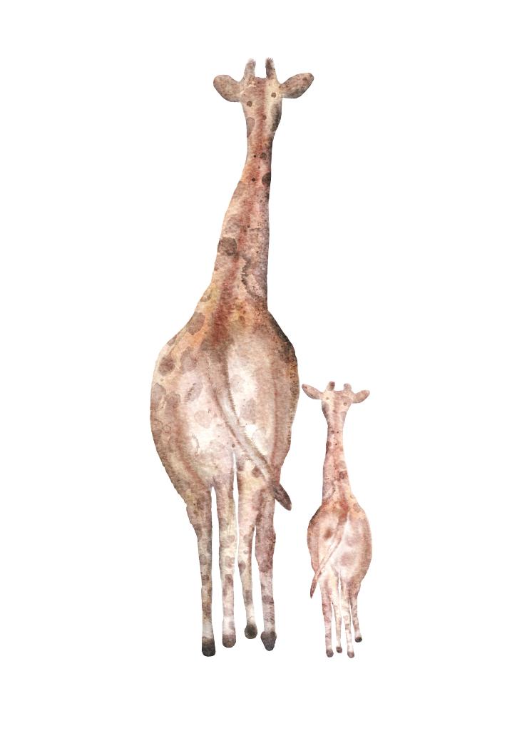 GIRAFFEN