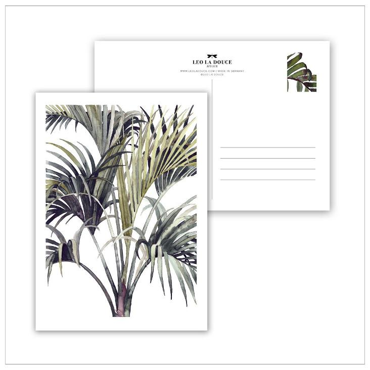 WILD PALM