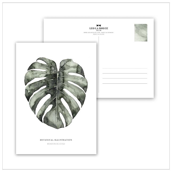 URBAN MONSTERA