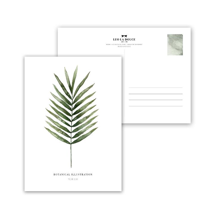 PALM LEAF