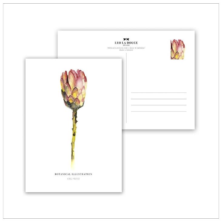 RED KING PROTEA