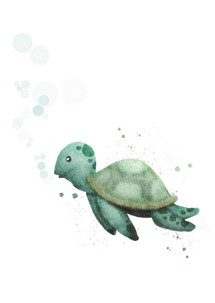 SCHILDKRÖTE