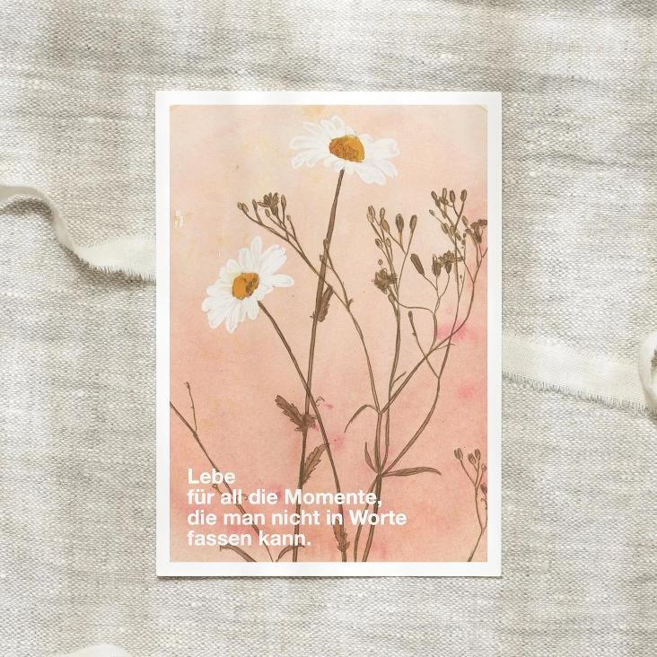 NEU: WILDFLOWERS / LEBE FÜR ALL DIE MOMENTE, DIE MAN NICHT IN WORTE FASSEN KANN
