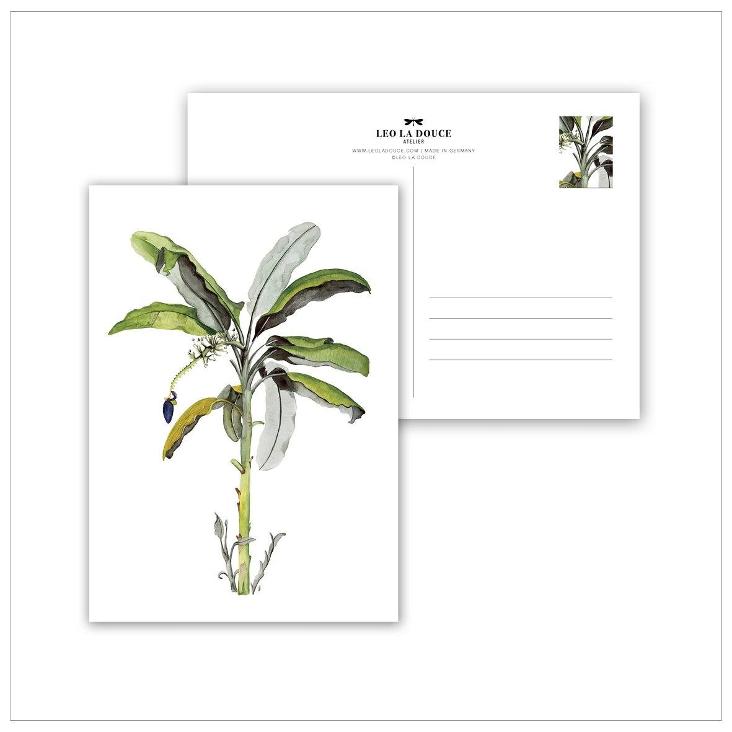 BANANA TREE