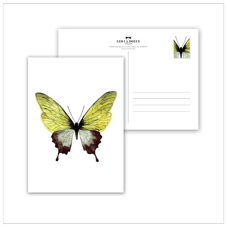 GREEN BUTTERFLY