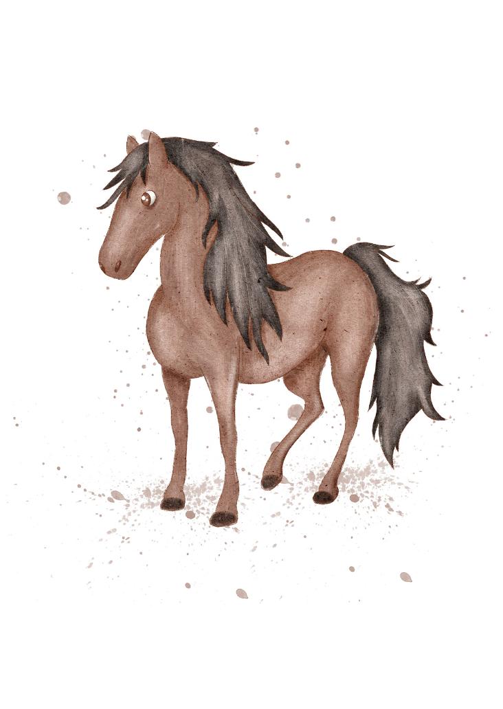 NEU: PFERD