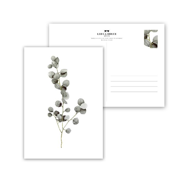 EUCALYPTUS