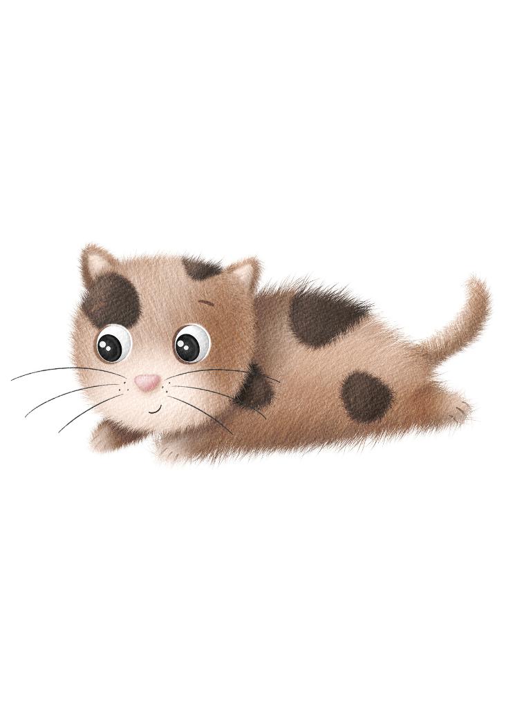 NEU: FLAUSCHE KATZE 2