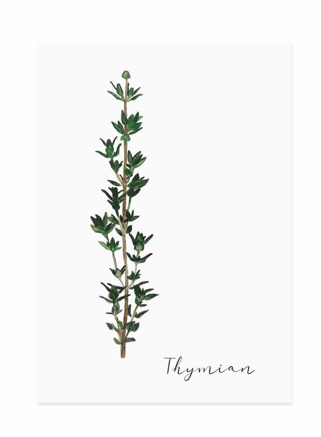THYMIAN