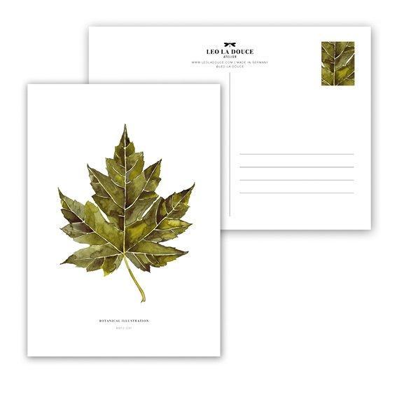 MAPLE LEAF SOLANGE VORRAT REICHT