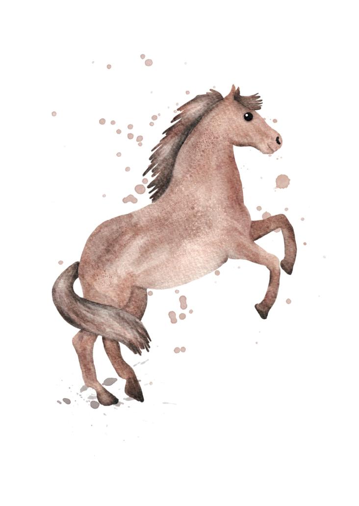 PFERD 2