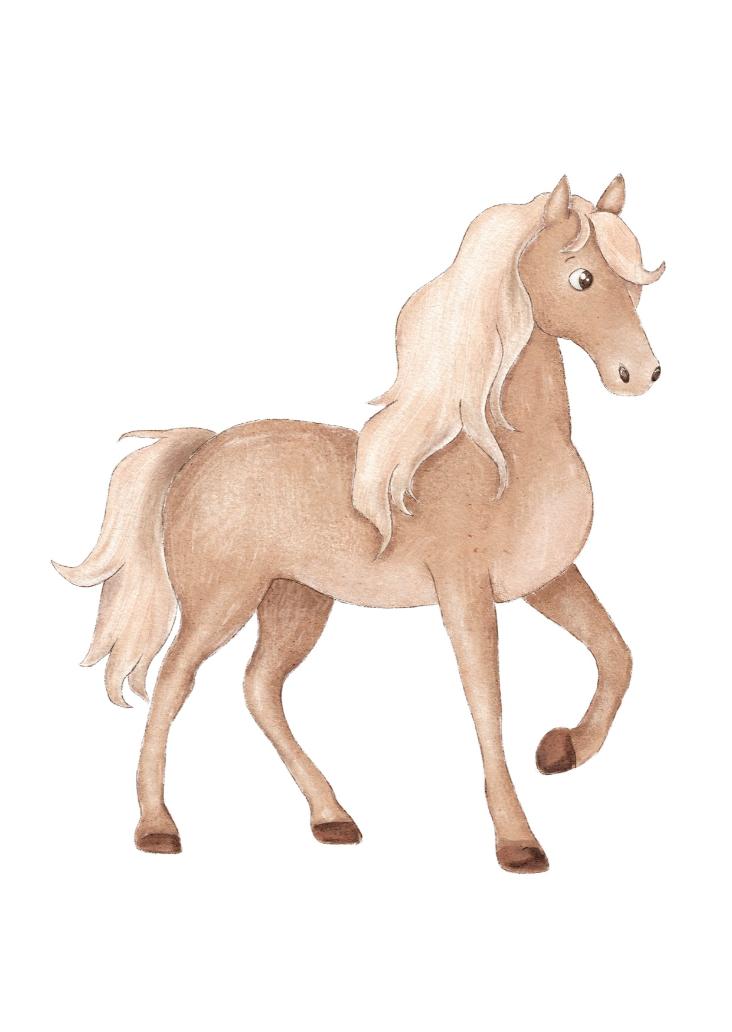 PFERD 3