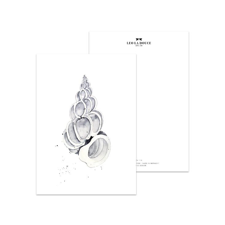 SHELL NO 1