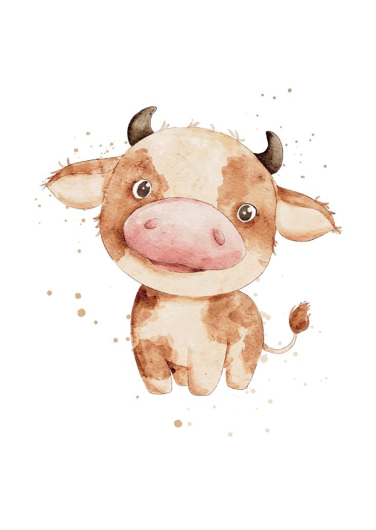 STIER