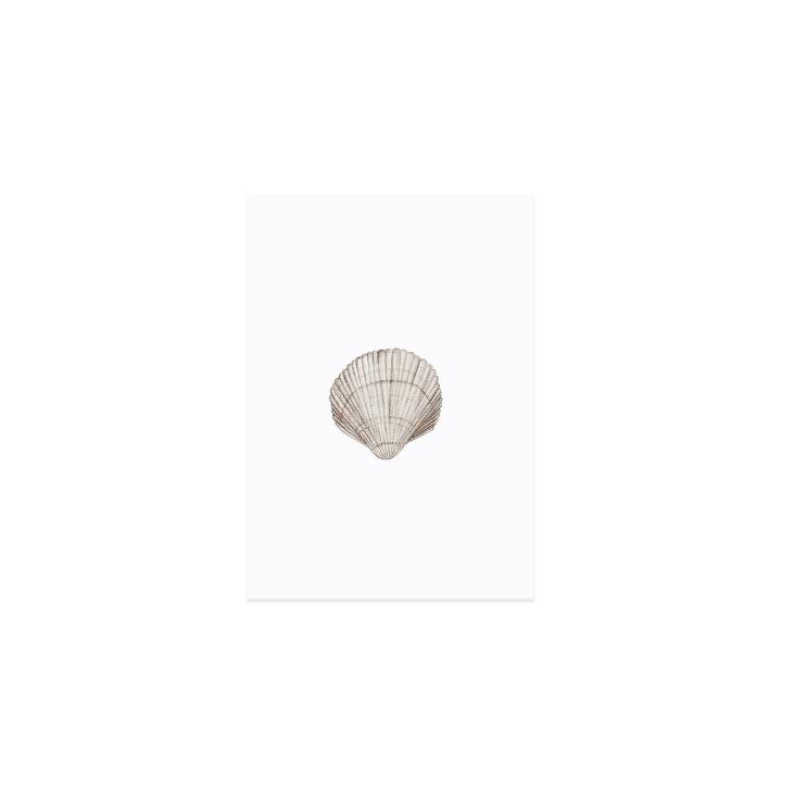 NEU: AQUARELL MUSCHEL