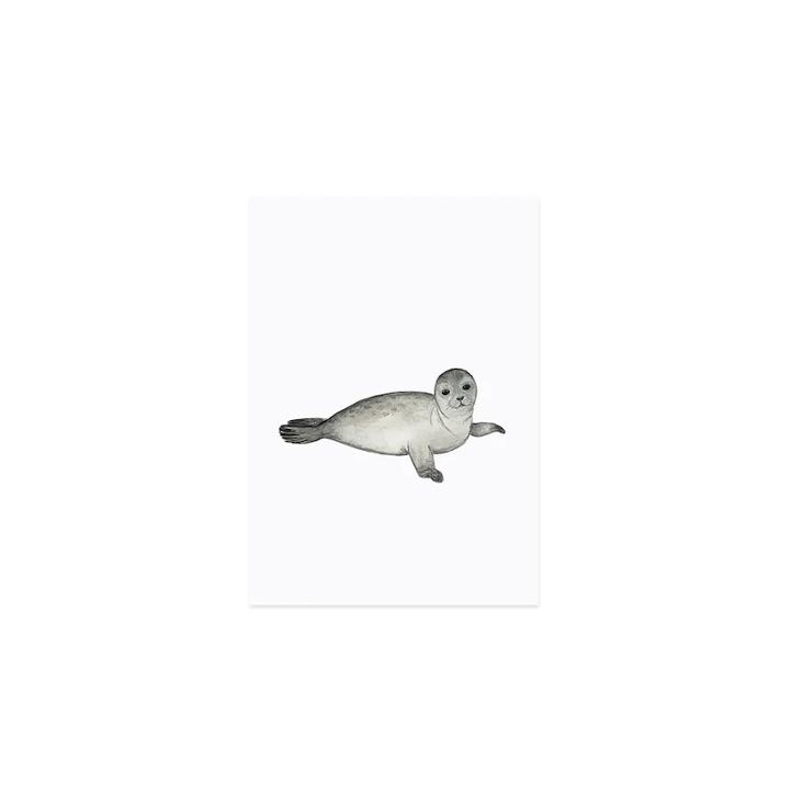 NEU: AQUARELL ROBBE