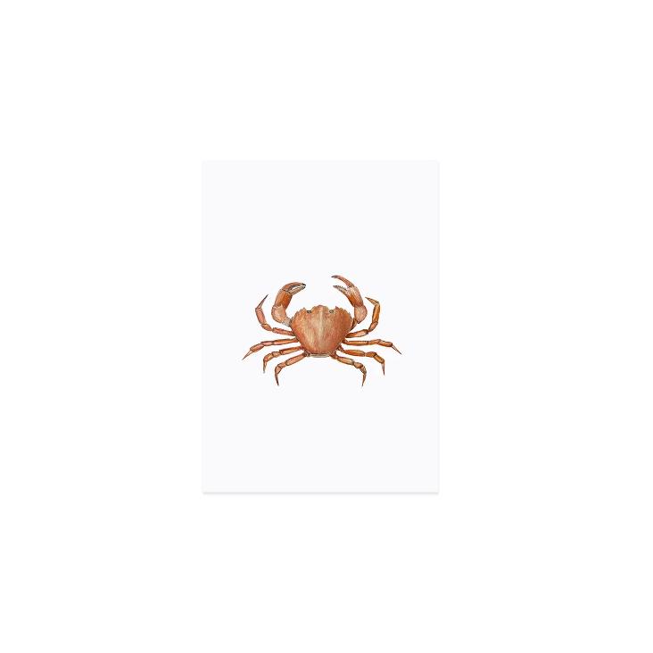 NEU: AQUARELL STRANDKRABBE