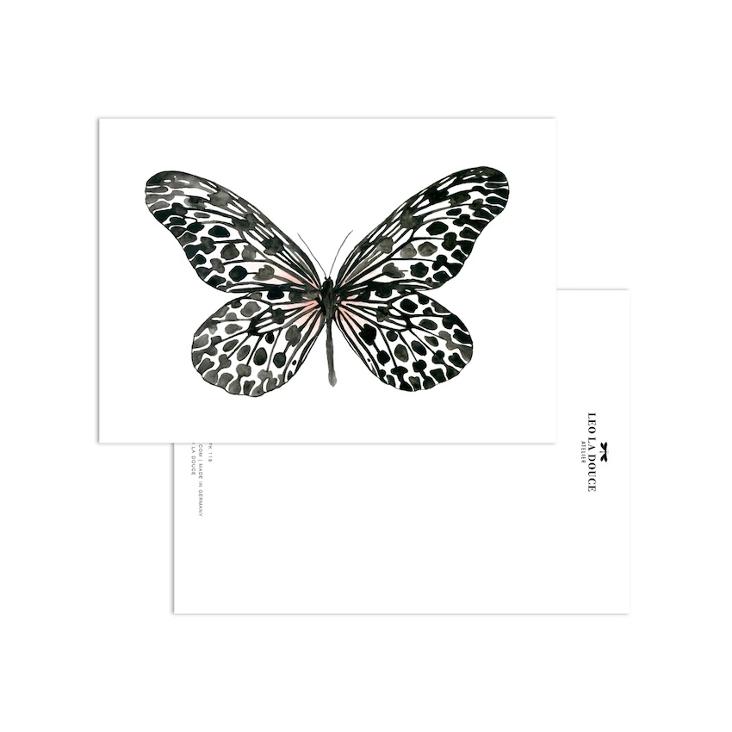 BLACK BUTTERFLY
